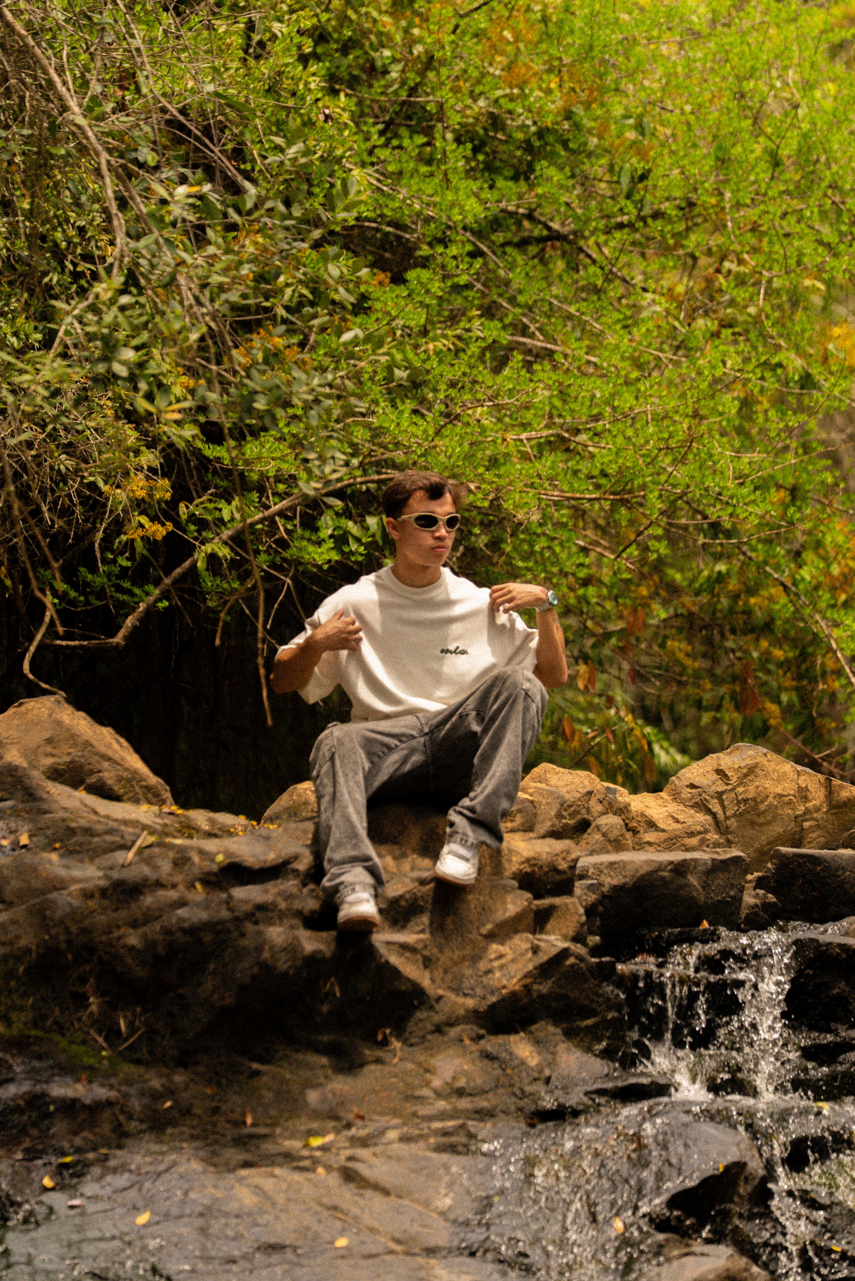 Overboxy branca gérbera