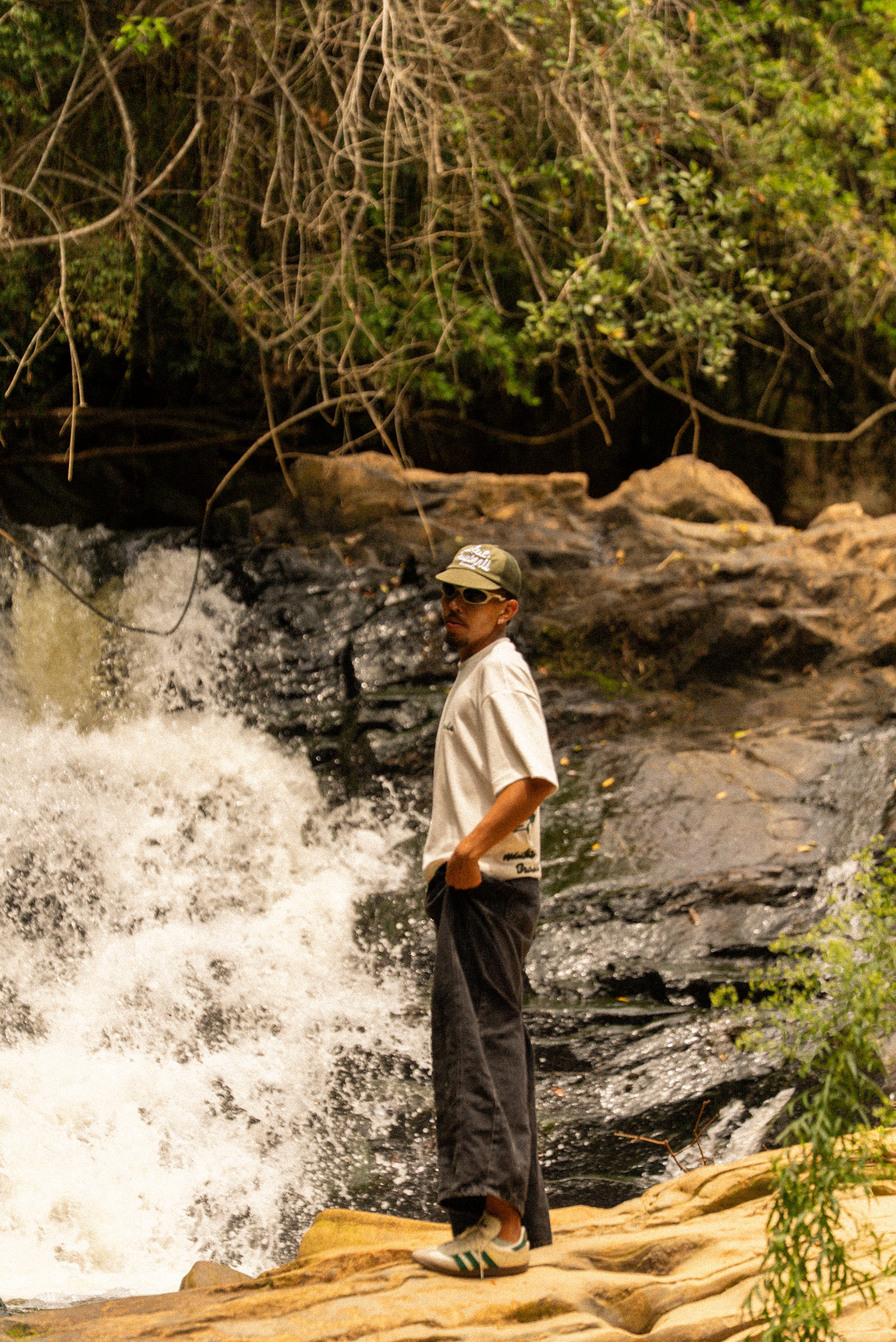 Overboxy branca gérbera